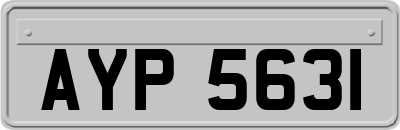 AYP5631