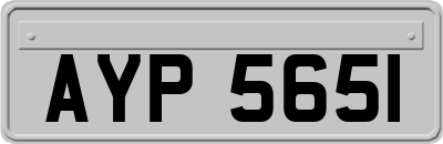 AYP5651