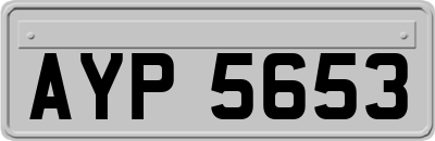 AYP5653