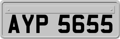 AYP5655