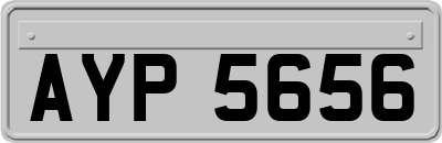 AYP5656
