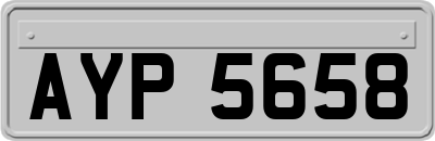 AYP5658