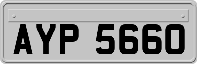 AYP5660
