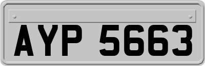 AYP5663