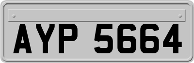 AYP5664