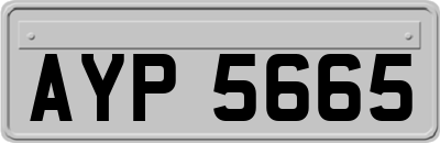 AYP5665