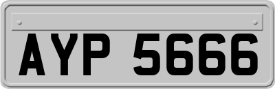 AYP5666