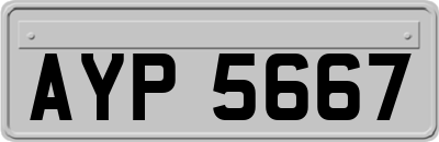 AYP5667