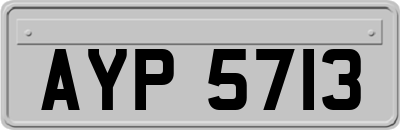 AYP5713