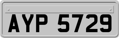AYP5729