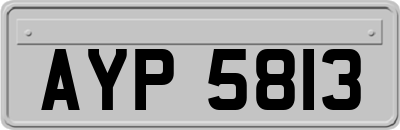 AYP5813