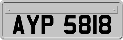 AYP5818