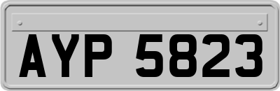 AYP5823