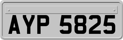 AYP5825