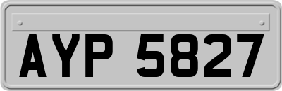 AYP5827