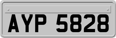 AYP5828