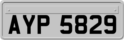 AYP5829