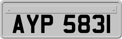 AYP5831