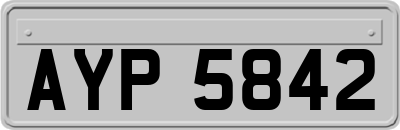 AYP5842