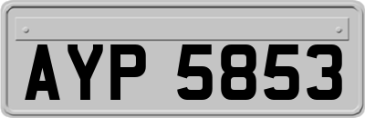 AYP5853