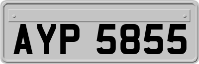 AYP5855