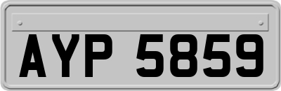AYP5859