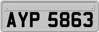 AYP5863