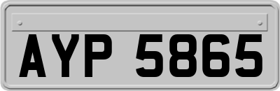 AYP5865