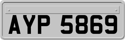 AYP5869