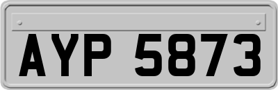 AYP5873