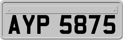AYP5875