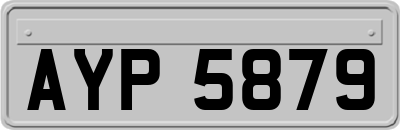 AYP5879