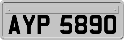 AYP5890