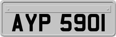 AYP5901