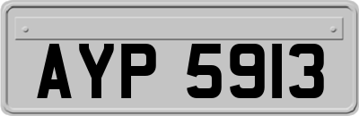 AYP5913
