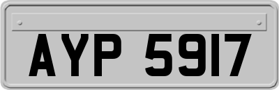 AYP5917