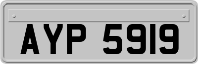 AYP5919