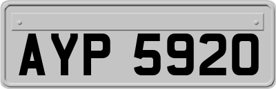 AYP5920