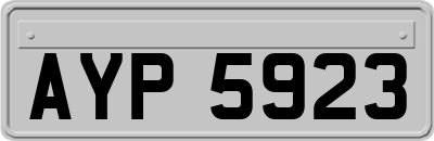 AYP5923
