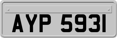 AYP5931