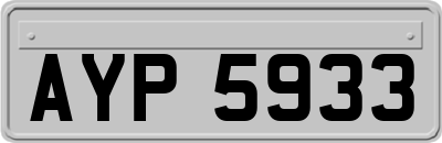 AYP5933