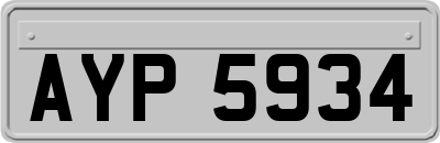 AYP5934