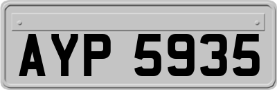 AYP5935