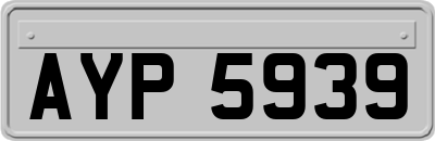 AYP5939