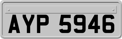 AYP5946