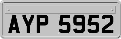 AYP5952