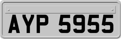 AYP5955
