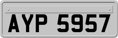 AYP5957
