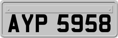 AYP5958
