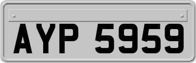 AYP5959